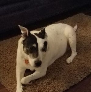 Meet your Posher, Randall